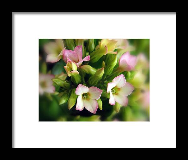 Nature Framed Print featuring the photograph Spring Blossom by Jessica Jenney
