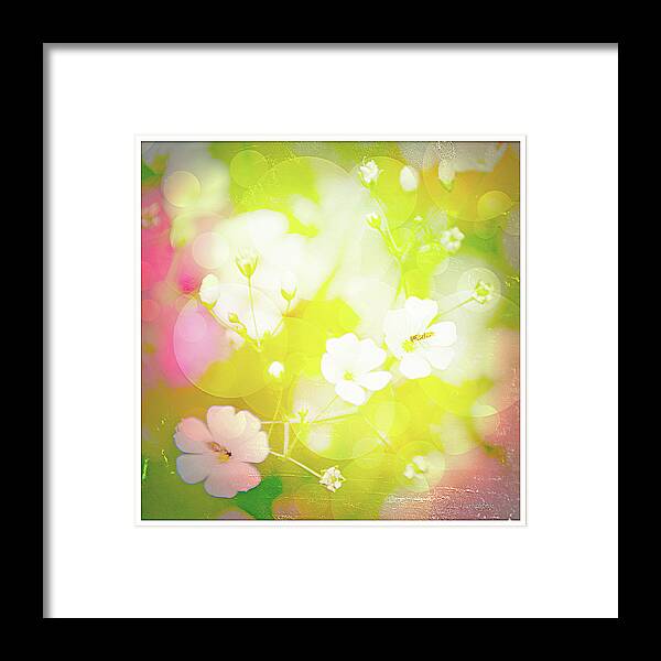 Summer Framed Print featuring the digital art Summer Flowers, Baby's Breath, Digital Art #2 by A Macarthur Gurmankin