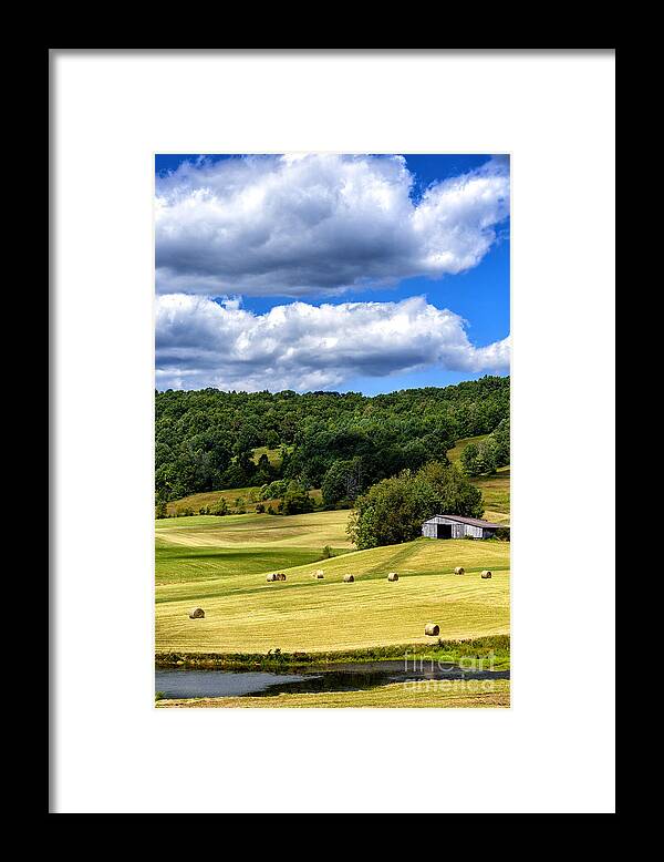 Summer Morning Framed Print featuring the photograph Summer Morning Hay Field #2 by Thomas R Fletcher