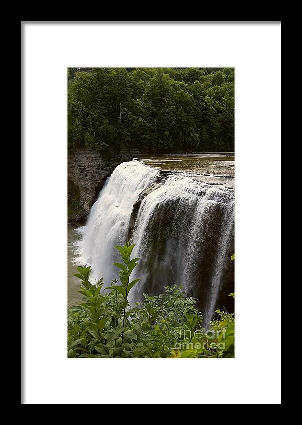 Waterfall Framed Print featuring the photograph Waterfall #2 by Raymond Earley