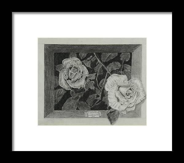Rose Framed Print featuring the drawing 2 White Roses by Quwatha Valentine