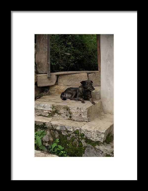 Animals Framed Print featuring the digital art Leymebamba City Center #20 by Carol Ailles