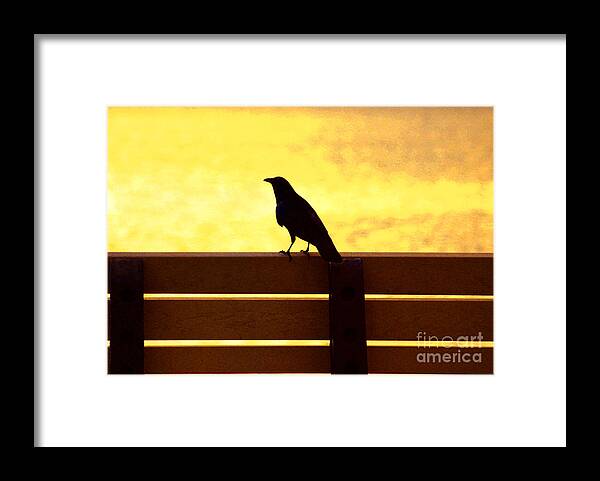 Bird Framed Print featuring the photograph 20- Waiting by Joseph Keane