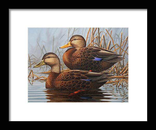 Guy Crittenden Waterfowl Framed Print featuring the painting Resting by Guy Crittenden