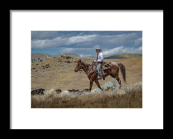 Reno Framed Print featuring the photograph 2016 Reno Cattle Drive 3 by Rick Mosher