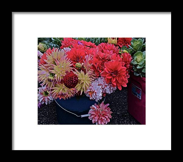 Flowers Framed Print featuring the photograph 2017 Mid October Monona Farmers' Market Buckets of Blossoms 2 by Janis Senungetuk