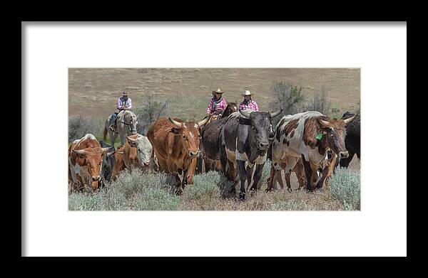 2018 Reno Cattle Drive Framed Print featuring the photograph 2018 Reno Cattle Drive 10 by Rick Mosher