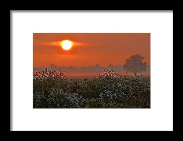 Sunset Framed Print featuring the photograph Sunset #21 by Mariel Mcmeeking