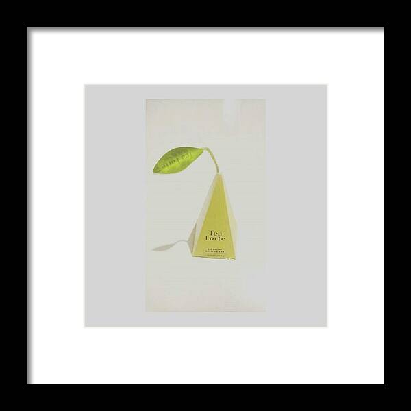 Lemonsorbetti Framed Print featuring the photograph Instagram Photo #231484853043 by Mariko Horigome