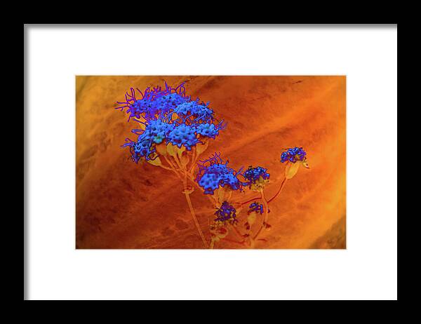 Texture Framed Print featuring the photograph Texture Flowers #25 by Prince Andre Faubert