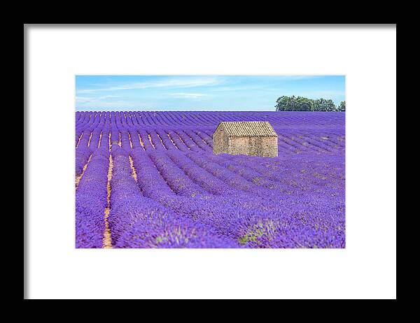 Valensole Framed Print featuring the photograph Valensole - Provence, France #25 by Joana Kruse