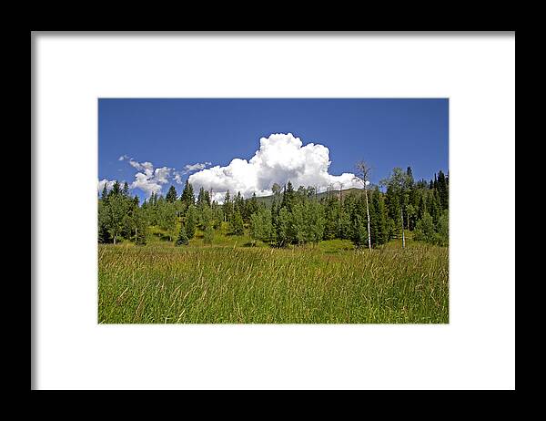 Colors Framed Print featuring the photograph Mountain Meadow #27 by Mark Smith