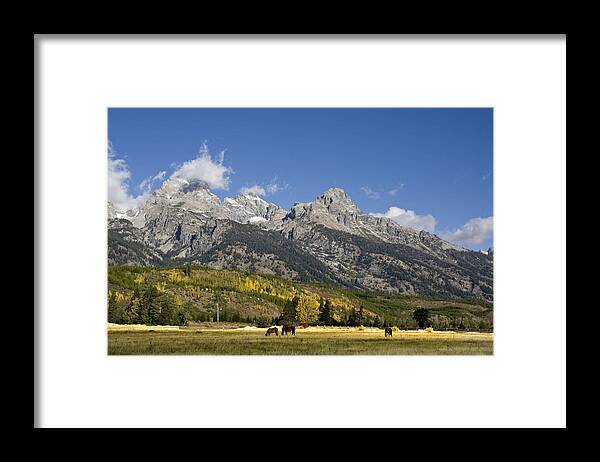 Wyoming Framed Print featuring the photograph Grand Teton National Park #28 by Mark Smith