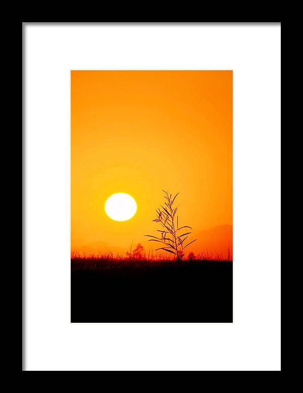 Landscape; Sunrise; Swartland; South Africa; Morning Light; Nature; Sky; Orange; Mountains; Meadow; Grass; Framed Print featuring the photograph Morning light #28 by Werner Lehmann