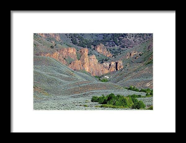 Steens Mountain Pinnacles Framed Print featuring the photograph 2DA5935 Steens Mountain Pinnacles by Ed Cooper Photography