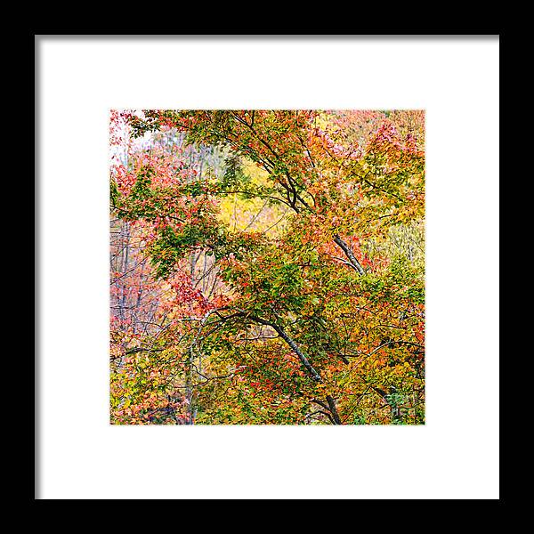 Autumn Framed Print featuring the photograph Autumn Series #3 by HD Connelly