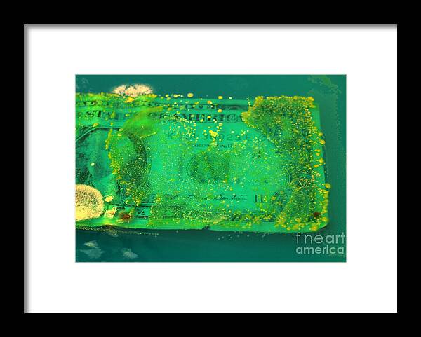Bacteria Framed Print featuring the photograph Bacteria Growing On Dollar Bill #3 by Scimat