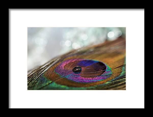 Feather Framed Print featuring the photograph Drop of Feather by Lilia D
