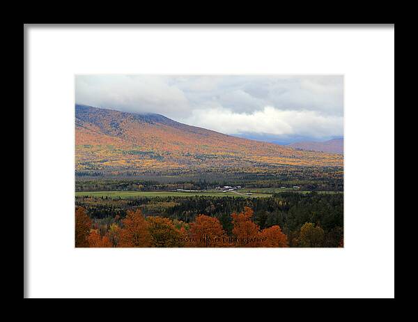 Nature Framed Print featuring the photograph Fall Colors #3 by Becca Wilcox