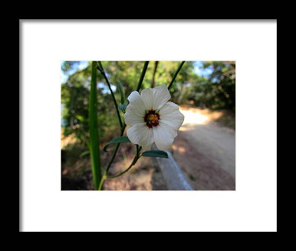Orchid Framed Print featuring the photograph Flower #3 by Cesar Vieira