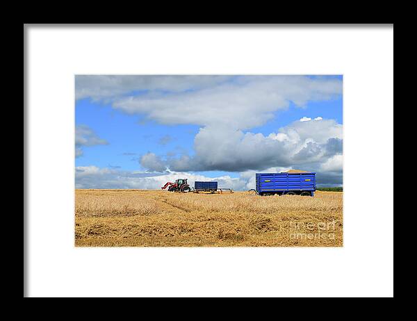 Harvest Framed Print featuring the photograph Harvest time #3 by Joe Cashin