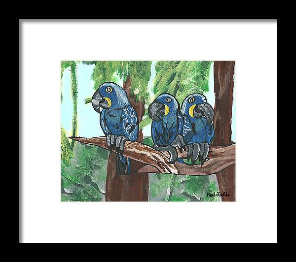 Macaws Framed Print featuring the painting 3 Macaws by Paul Fields