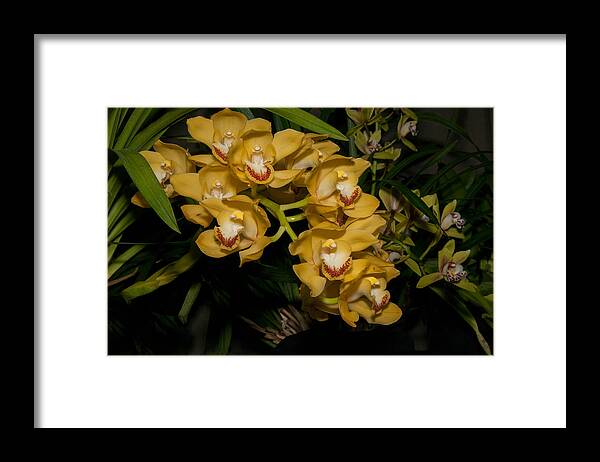 Orchids Framed Print featuring the digital art Orchids #3 by Carol Ailles