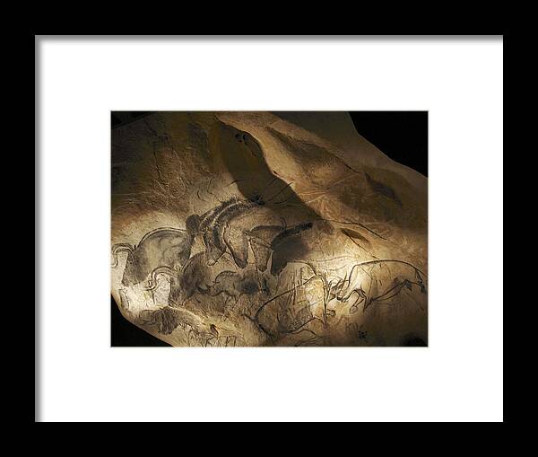 Animal Framed Print featuring the photograph Stone-age Cave Paintings, Chauvet, France by Javier Truebamsf