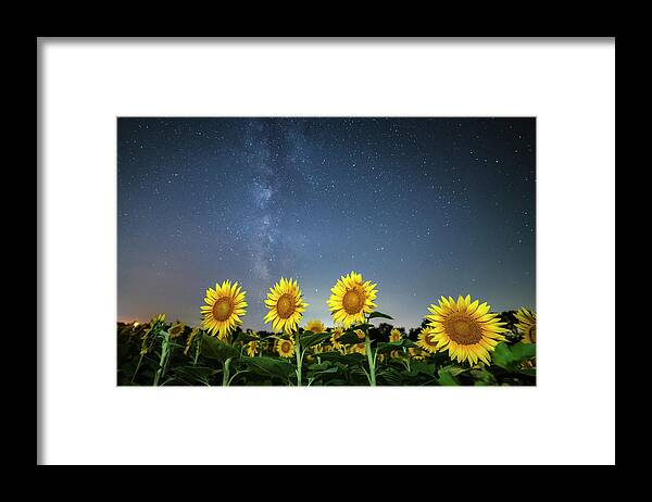 Ryan Heffron Framed Print featuring the photograph Sunflower Galaxy iv by Ryan Heffron