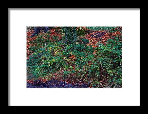 Nik Watt. Sony Framed Print featuring the photograph Wet Leaves #3 by Nik Watt