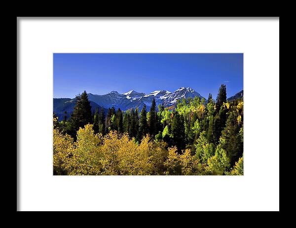 Autumn Framed Print featuring the photograph Autumn SPlender #30 by Mark Smith