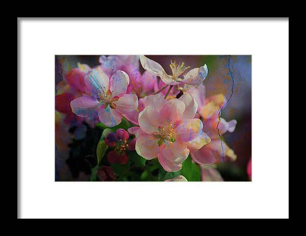 Texture Framed Print featuring the photograph Texture Flowers #30 by Prince Andre Faubert