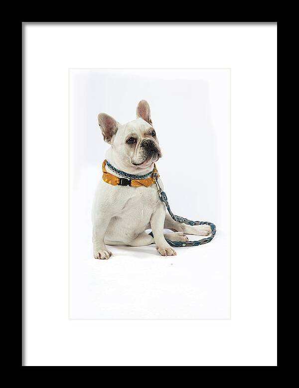 Therapet Framed Print featuring the photograph 3010.068 Therapet #3010068 by M K Miller