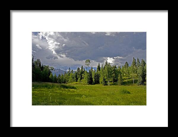 Colors Framed Print featuring the photograph Mountain Meadow #32 by Mark Smith
