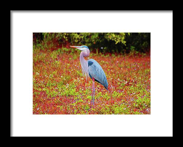 Blue Heron Framed Print featuring the digital art 33- Magic Garden by Joseph Keane