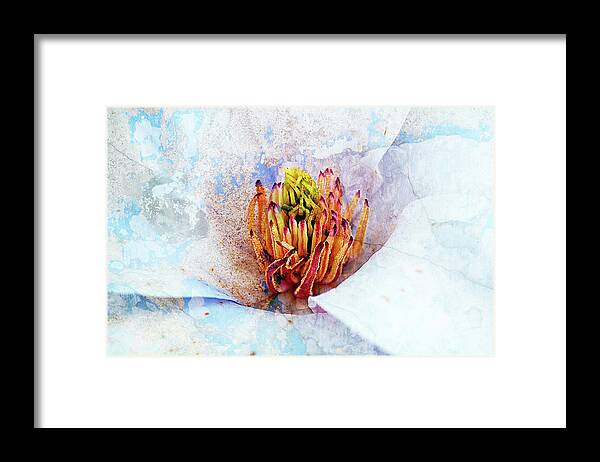 Texture Framed Print featuring the photograph Texture Flowers #36 by Prince Andre Faubert