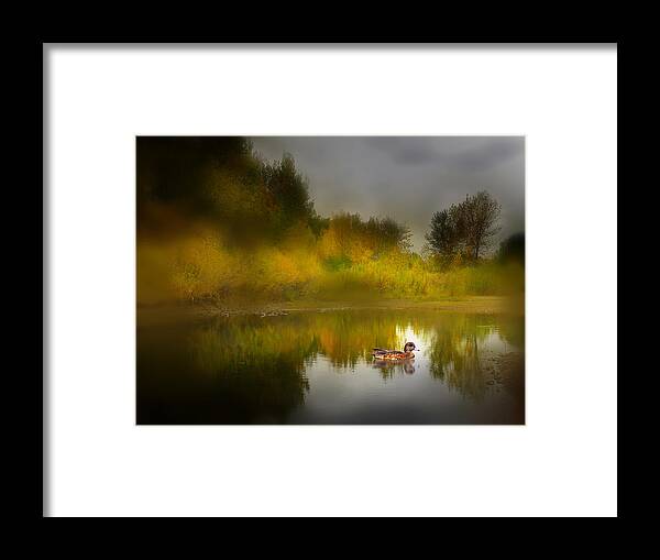 Duck Framed Print featuring the photograph 3895 by Peter Holme III