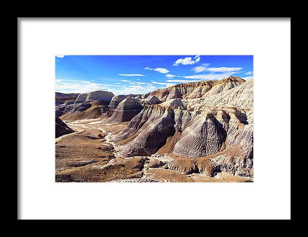 Arizona Framed Print featuring the photograph Arizona Petrified Forest #4 by Raul Rodriguez