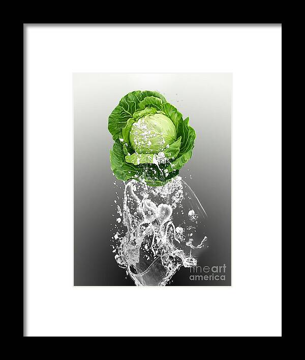 Cabbage Art Mixed Media Framed Print featuring the mixed media Cabbage Splash #4 by Marvin Blaine