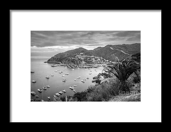 America Framed Print featuring the photograph Catalina Island Avalon Bay Black and White Picture #4 by Paul Velgos
