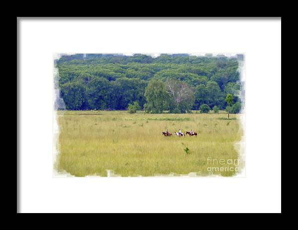 Cattle Framed Print featuring the photograph Cattle round up and drive in West Virginia #4 by Dan Friend