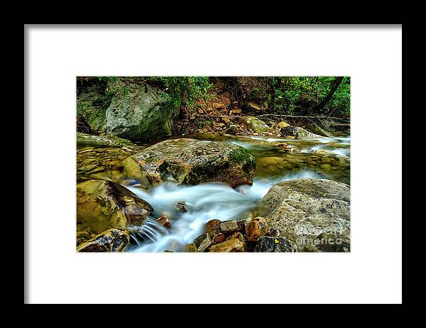 Kens Creek Framed Print featuring the photograph Kens Creek Cranberry Wilderness #4 by Thomas R Fletcher