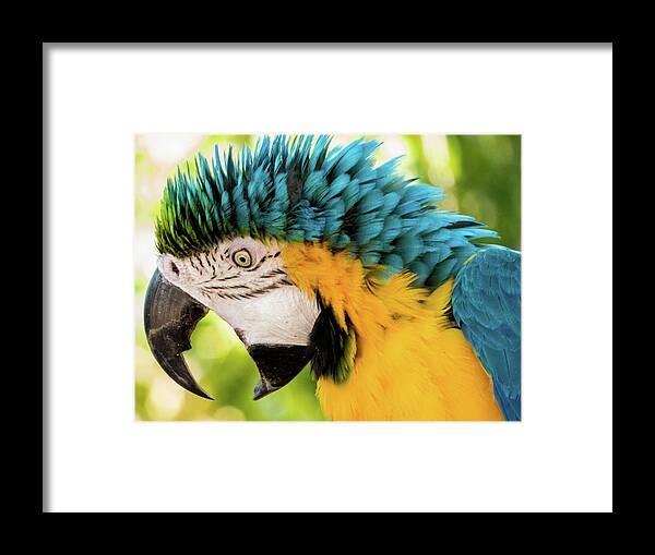  Framed Print featuring the photograph 4 by Kimo Fernandez