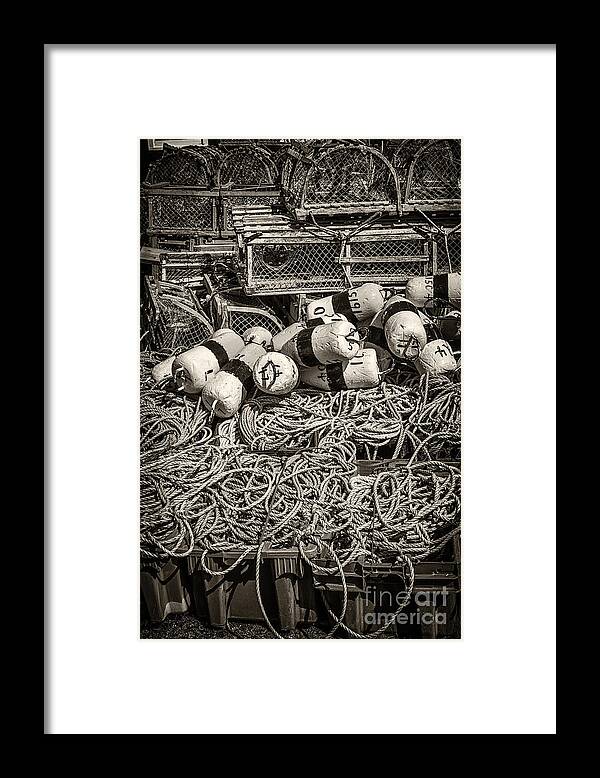 Floats Framed Print featuring the photograph Lobster traps 1 by Elena Elisseeva