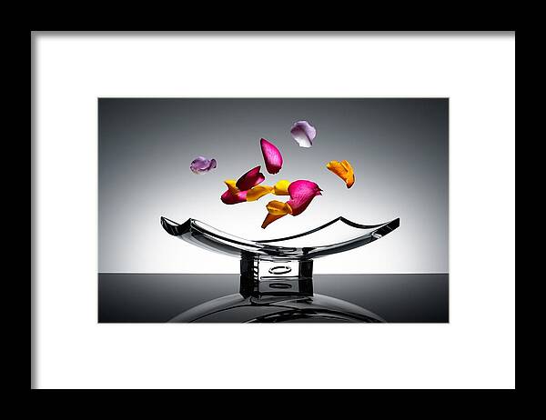 Manipulation Framed Print featuring the photograph Manipulation #4 by Jackie Russo
