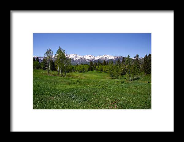 Scenery Sky Space Spring Summer Sunny Tree Framed Print featuring the photograph Mountain Spring #4 by Mark Smith