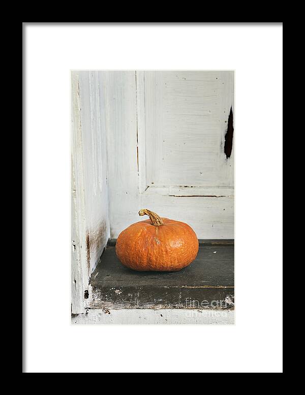 Pumpkin Framed Print featuring the photograph Pumpkin by Jelena Jovanovic