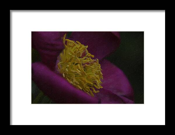 Purple Framed Print featuring the painting Purple Flower #4 by Prince Andre Faubert