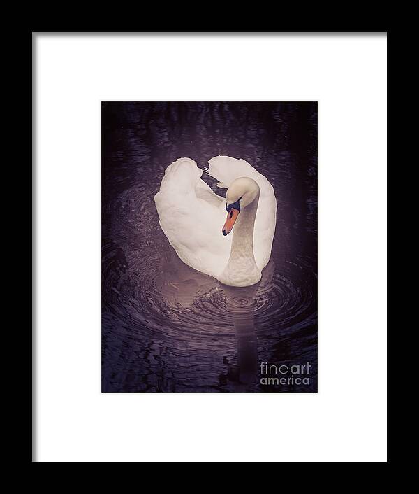 D90 Framed Print featuring the photograph Swan by Mariusz Talarek