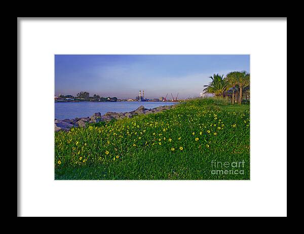 Lake Worth Inlet Framed Print featuring the photograph 43- Smokestacks and Sunflowers by Joseph Keane